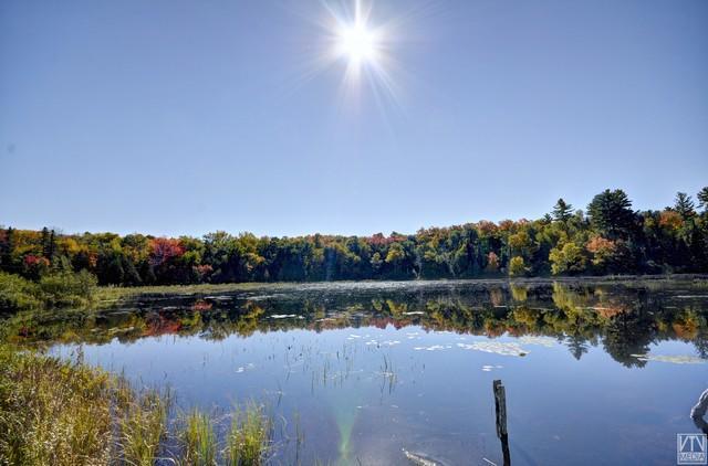 Quiet Bay Inn & Cafe Magnetawan Экстерьер фото